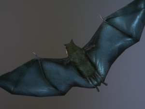 bat animation pbr low-poly Modèle 3D