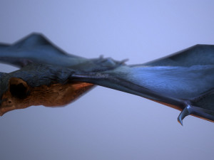 bat animation pbr low-poly Modèle 3D