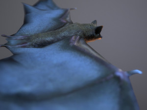 bat animation pbr low-poly Modèle 3D