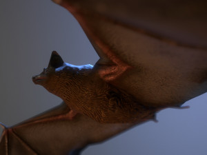 bat animation pbr low-poly Modèle 3D