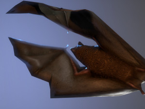 bat animation pbr low-poly Modèle 3D
