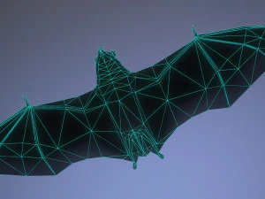 bat animation pbr low-poly 3D Model