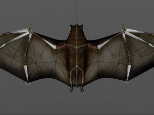 bat animation pbr low-poly Modèle 3D