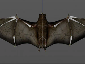 bat animation pbr low-poly 3D Model