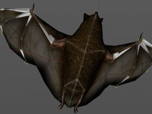 bat animation pbr low-poly Modèle 3D