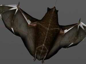 bat animation pbr low-poly 3D Model