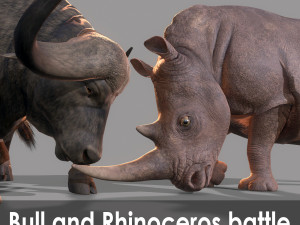bull and rhinoceros battle low-poly 3D Model