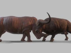 Бык и носорог сражаются в низкополигональной игре 3D Модель