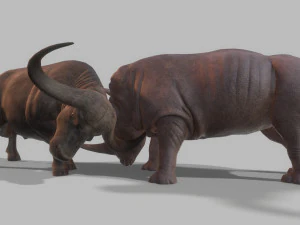 Бык и носорог сражаются в низкополигональной игре 3D Модель
