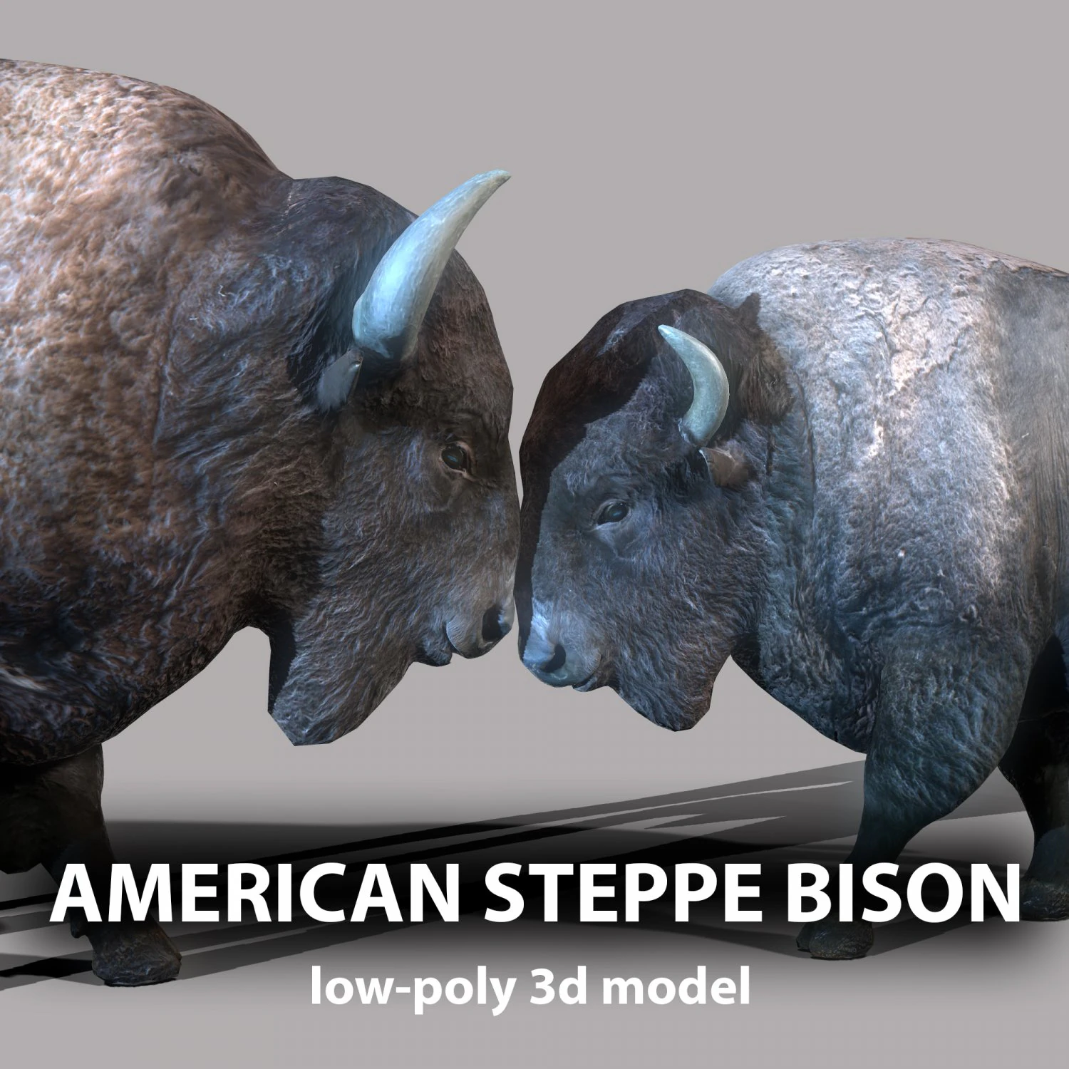 American steppe bison low-poly 3D Model .c4d .max .obj .3ds .fbx .stl .blend 