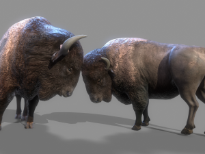 American steppe bison low-poly 3D Model