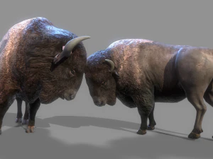 American steppe bison low-poly 3D Model