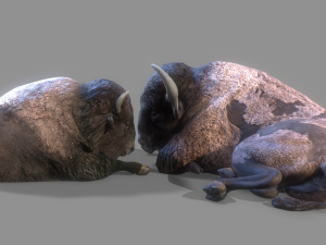 American steppe bison low-poly 3D Model