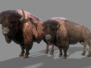 American steppe bison low-poly 3D Model