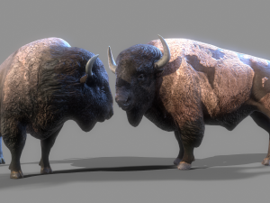 American steppe bison low-poly 3D Model