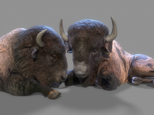 American steppe bison low-poly 3D Model