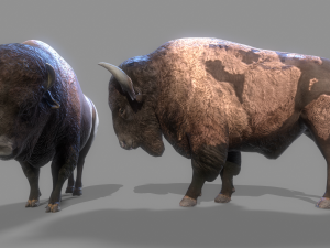 American steppe bison low-poly 3D Model