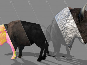 American steppe bison low-poly 3D Model