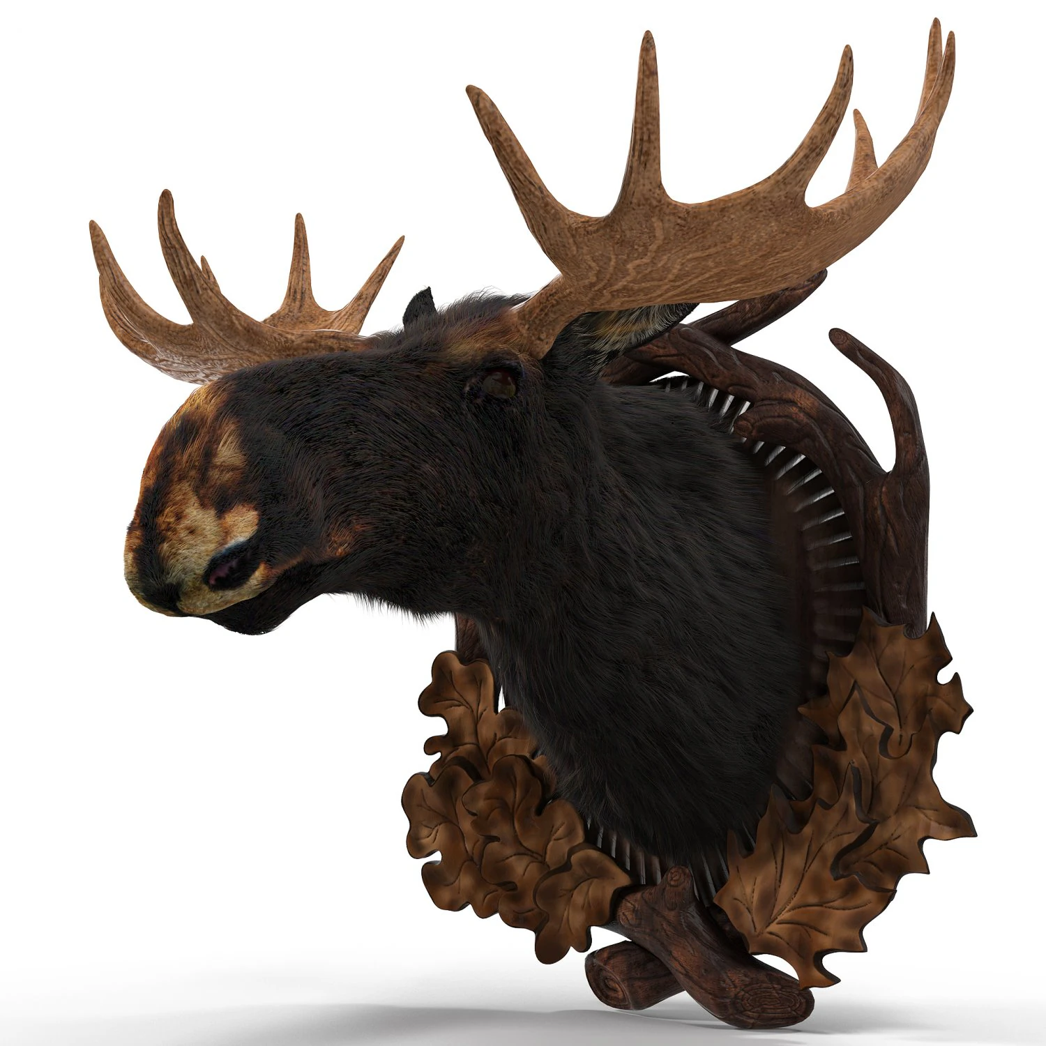wall elk 3D Model .c4d .max .obj .3ds .fbx .stl .blend