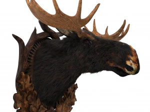 wall elk 3D Model