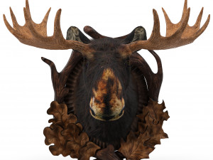 wall elk Modèle 3D