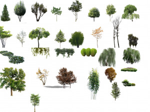 tree di-cut CG Textures