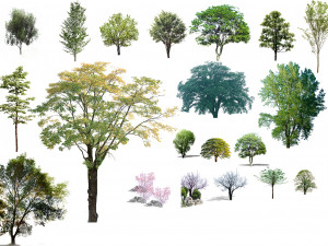 tree di-cut CG Textures