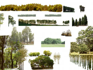 Tree di-cut CG Textures