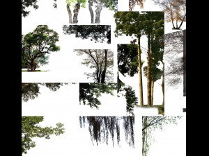tree di-cut CG Textures
