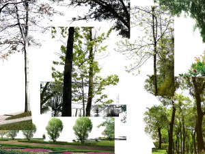 Tree di-cut CG Textures