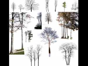 tree di-cut CG Textures