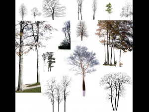 Tree di-cut CG Textures