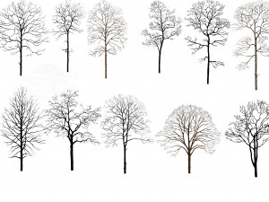 tree di-cut CG Textures