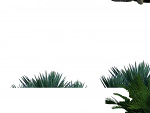 Tree di-cut CG Textures