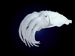 cuttlefish rigged animated 3D 모델