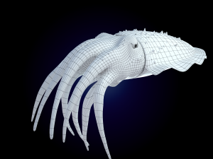 cuttlefish rigged animated 3D 모델
