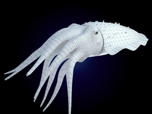cuttlefish rigged animated 3D 모델
