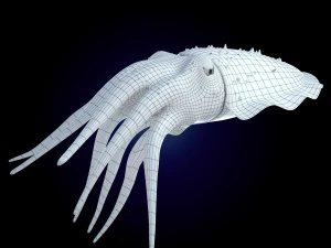 cuttlefish rigged animated 3D Model