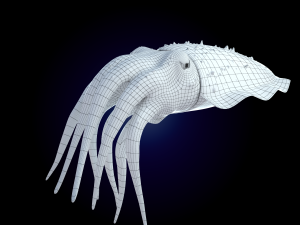 cuttlefish rigged animated 3D 모델