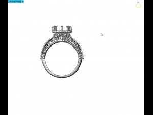 indian style ring 3D Print Model