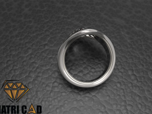 oval shape men ring Model Cetak 3D