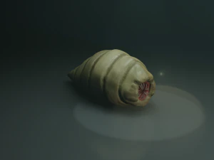 хробак чужорідний 3D Модель