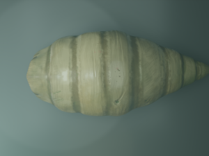 worm alien 3D Model