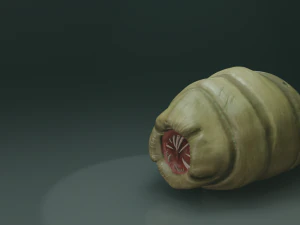хробак чужорідний 3D Модель