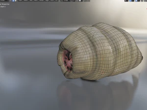 хробак чужорідний 3D Модель