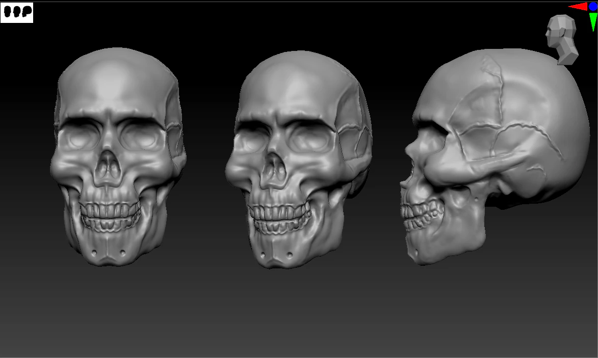 human skull 3D Print Model .c4d .max .obj .3ds .fbx .stl .blend