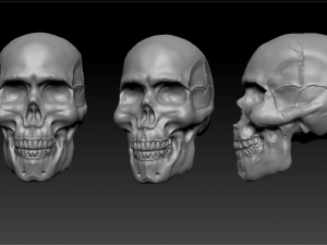 human skull 3D-printmodel