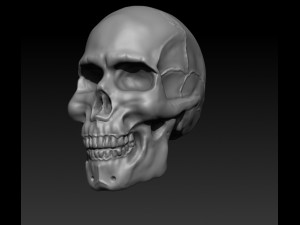 human skull 3D 打印模型