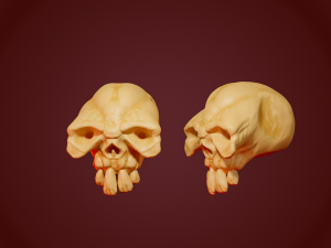 stylized skulls collection 3D Print Model