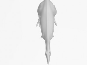aucasaur 3Dモデル